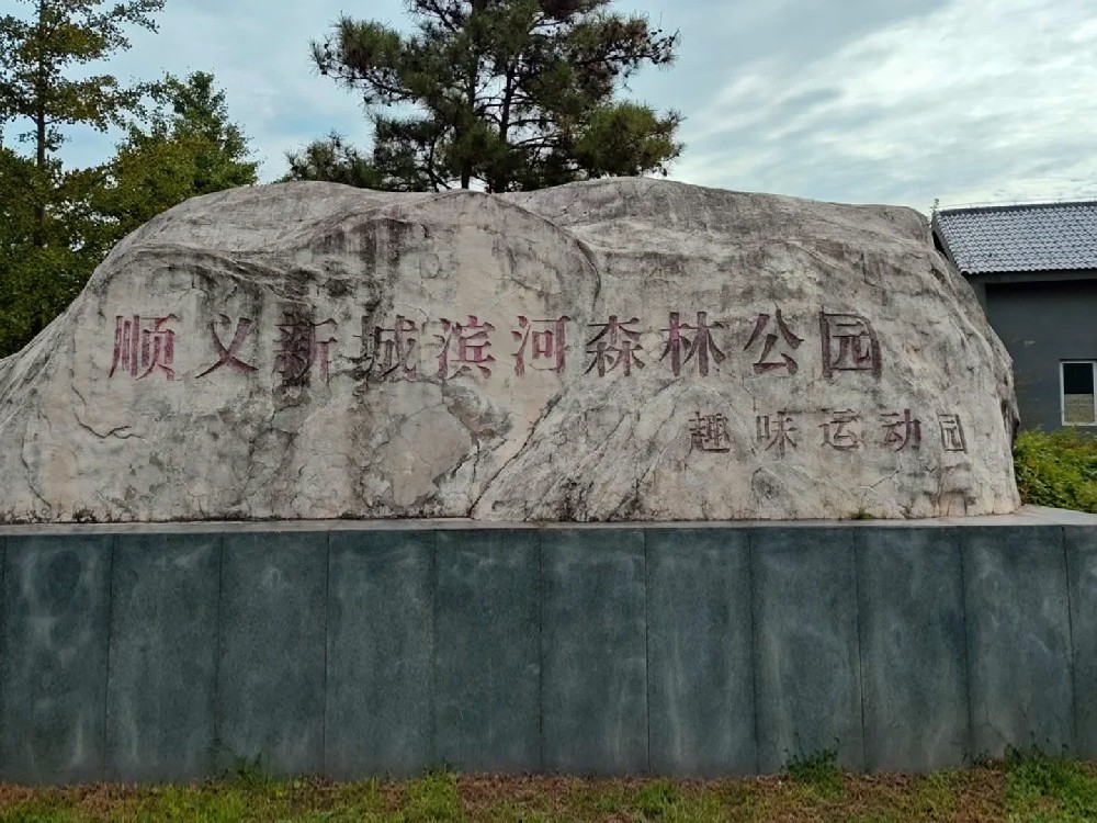 未标题-16.jpg
