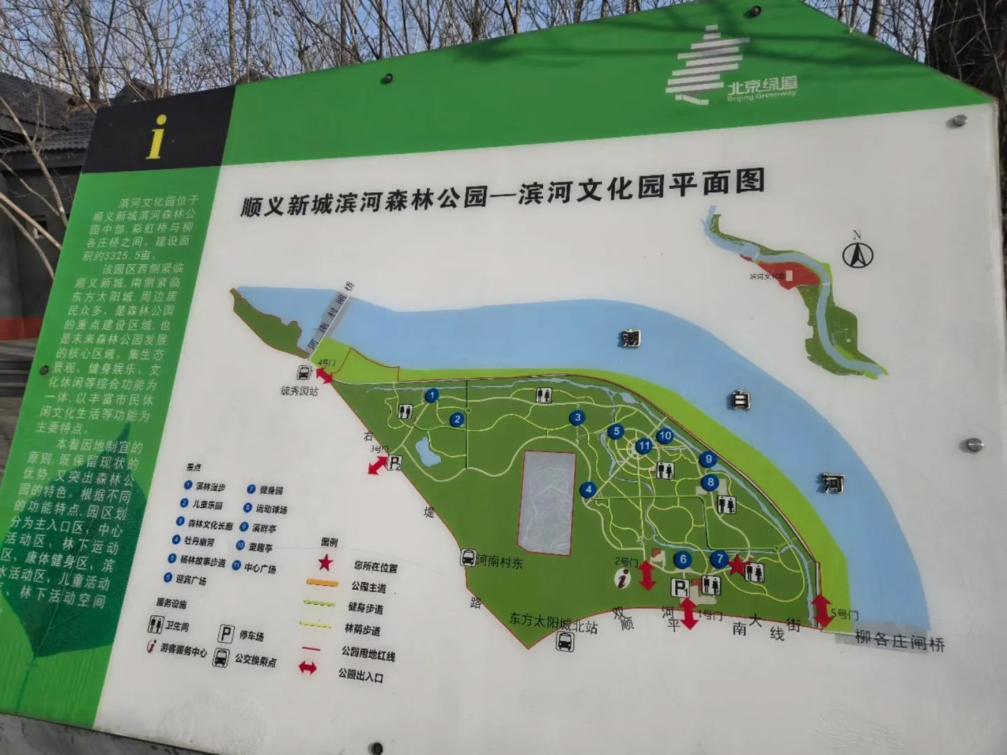 未标题-11.jpg