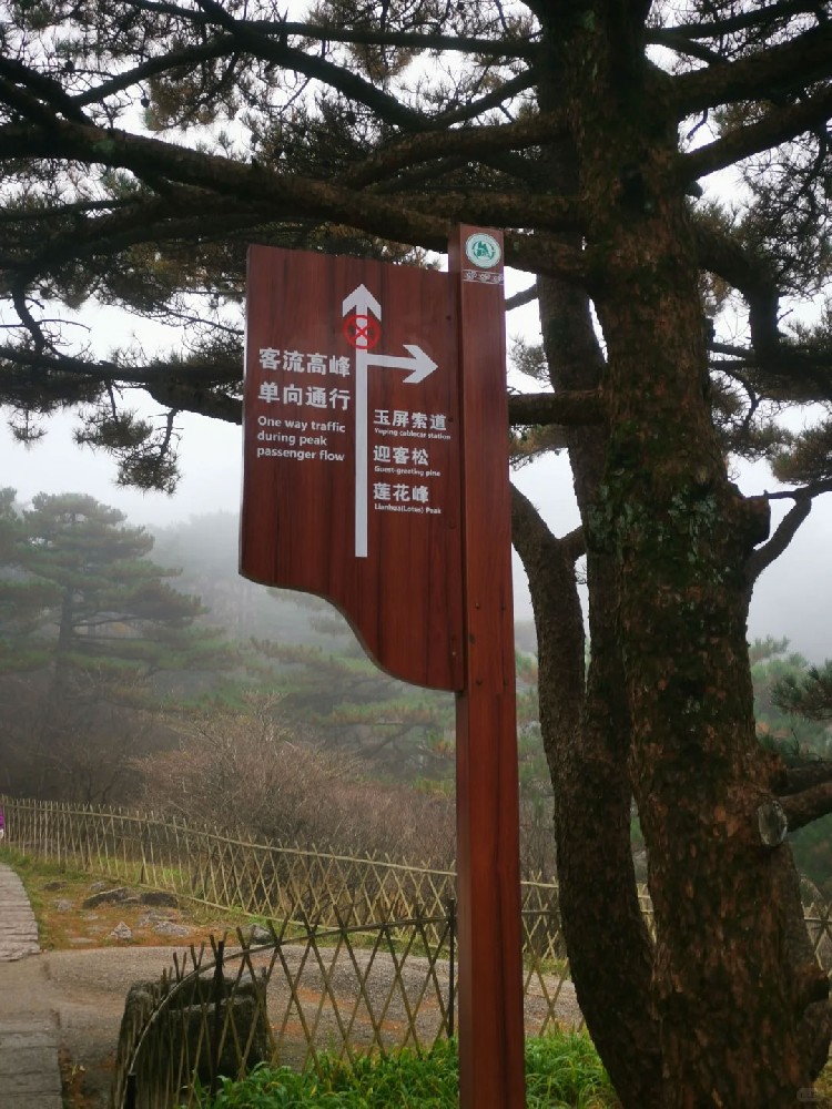 景区标识系统：提升游客体验的关键一环