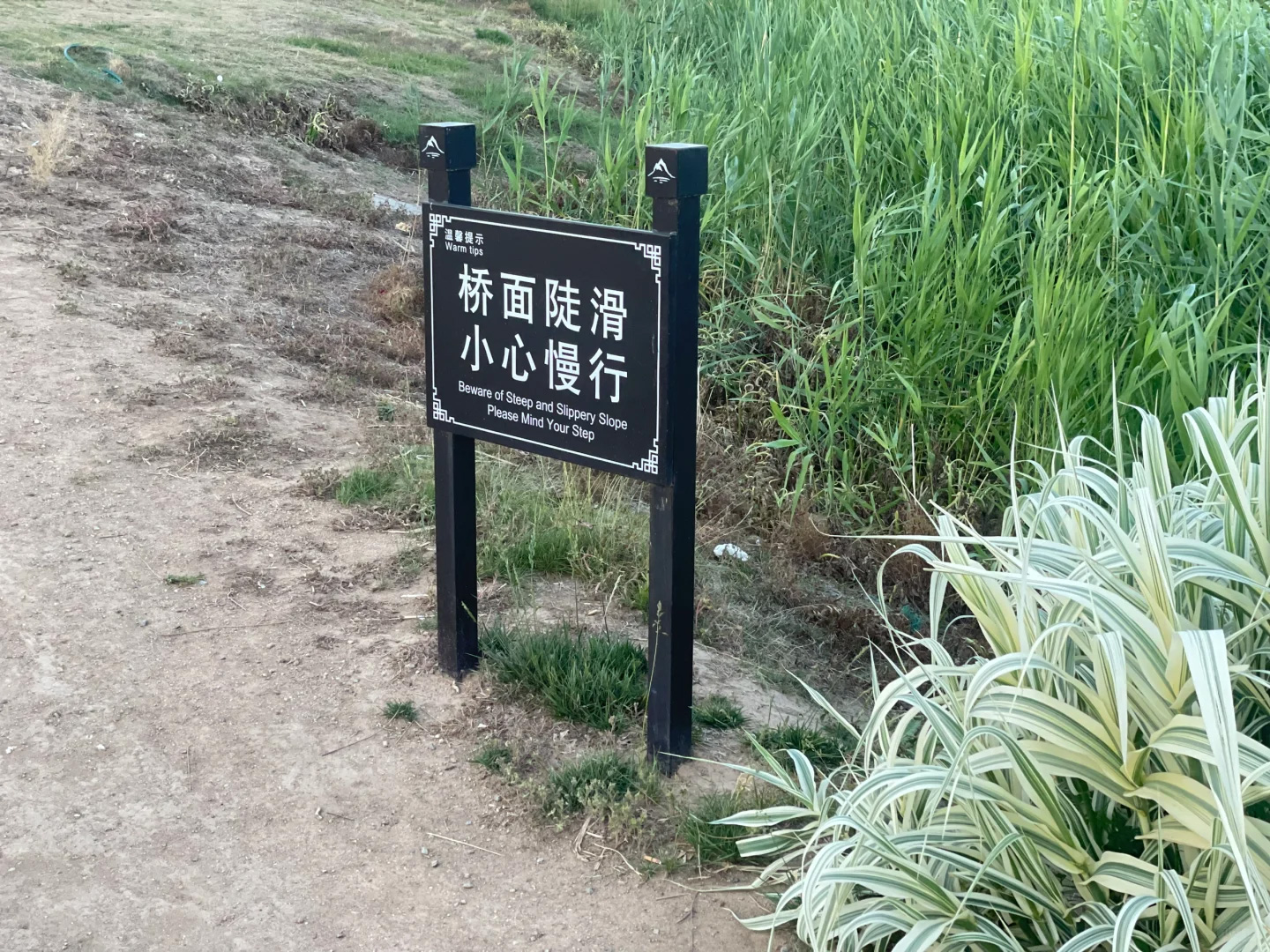 未标题-4.jpg