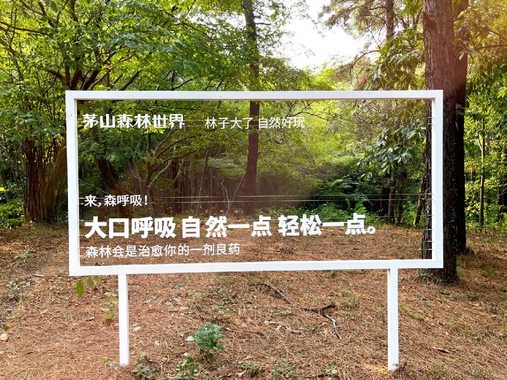 1761808559921615.jpg 2.jpg