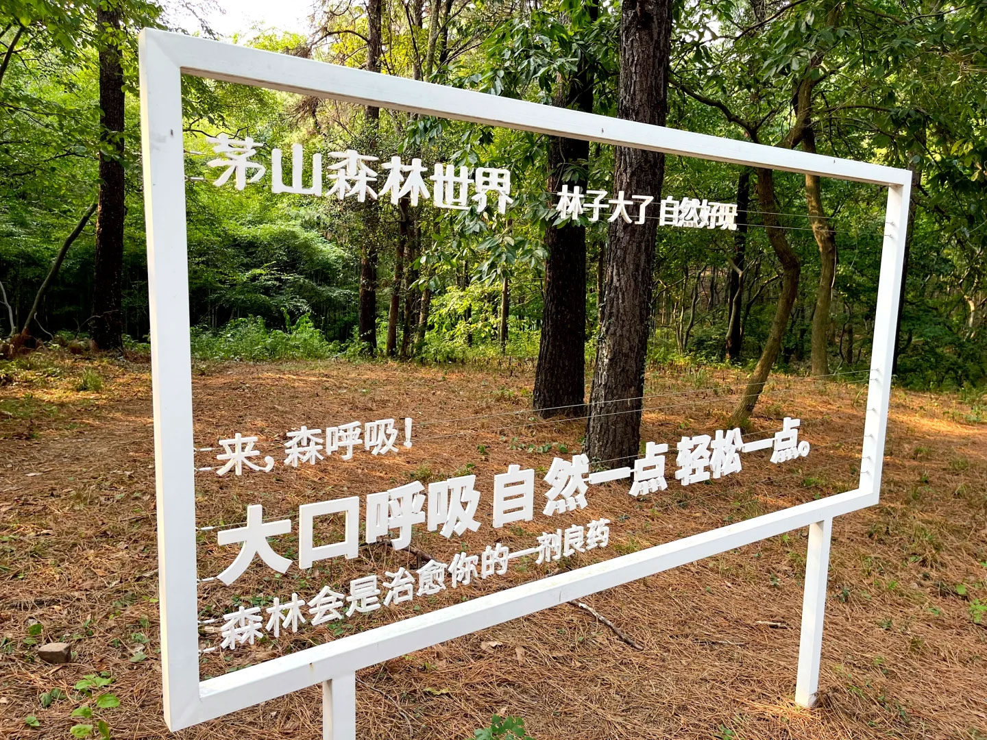 1761808676344529.jpg 3.jpg